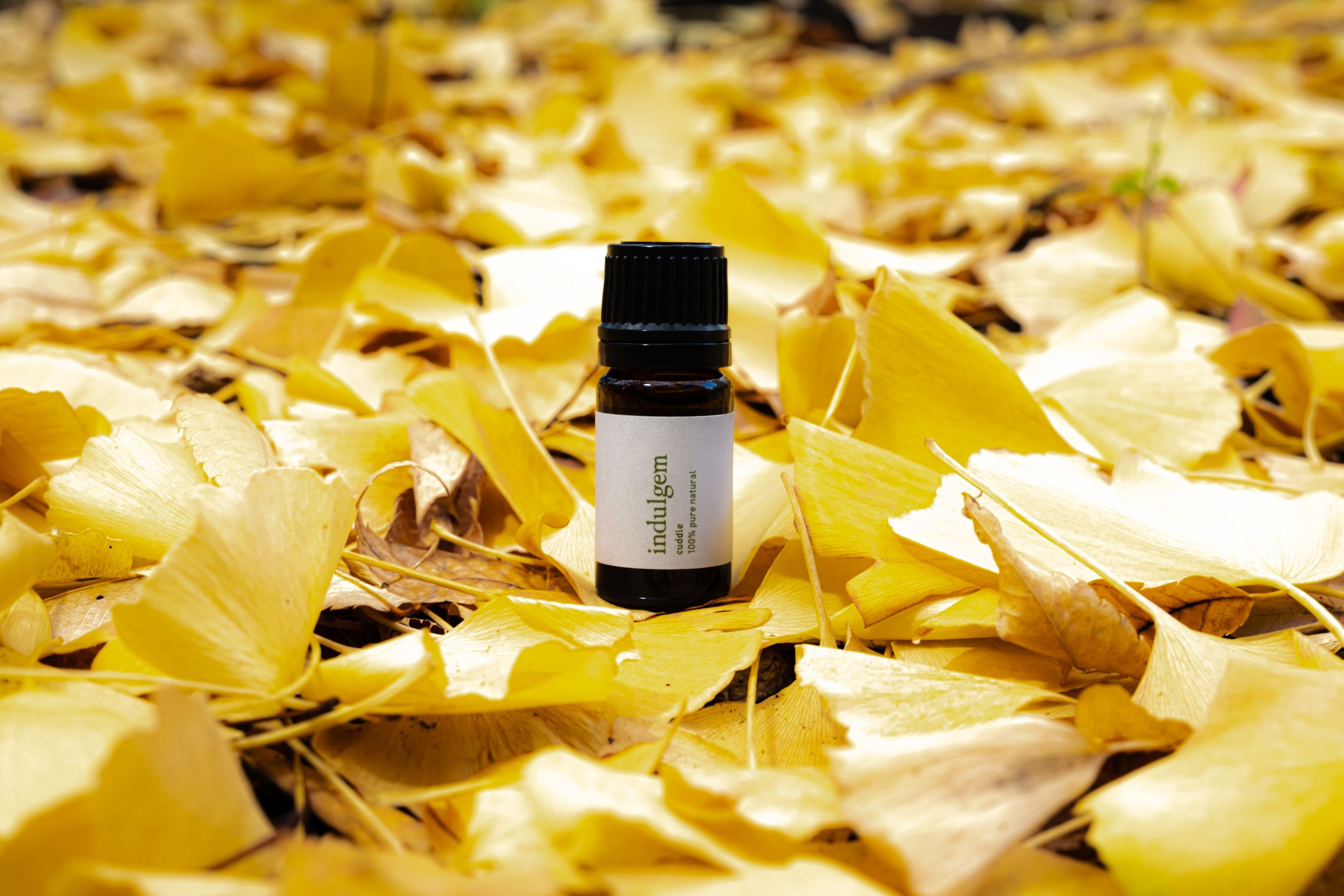 オンラインショップを開設しました