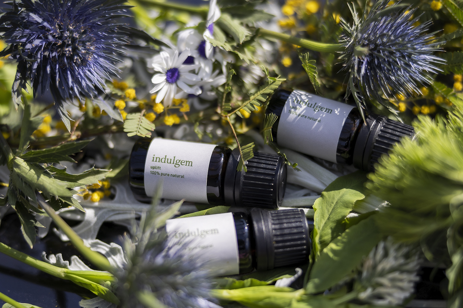 2023.3.1<uplift>発売開始しました。