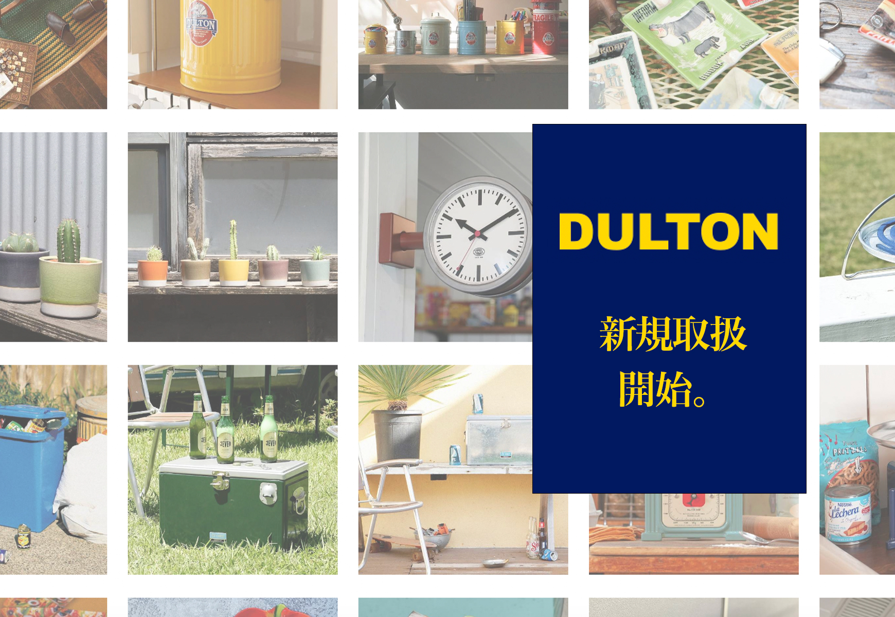 DULTON - 新規取扱開始。