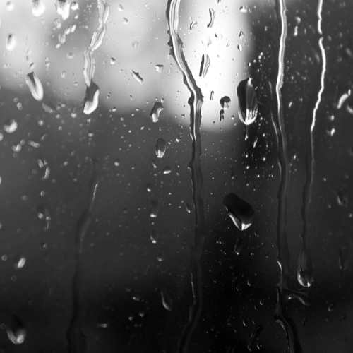 雨