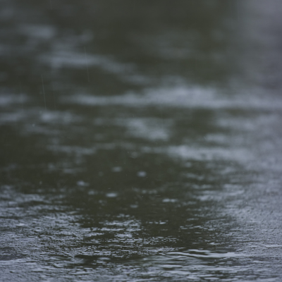 雨