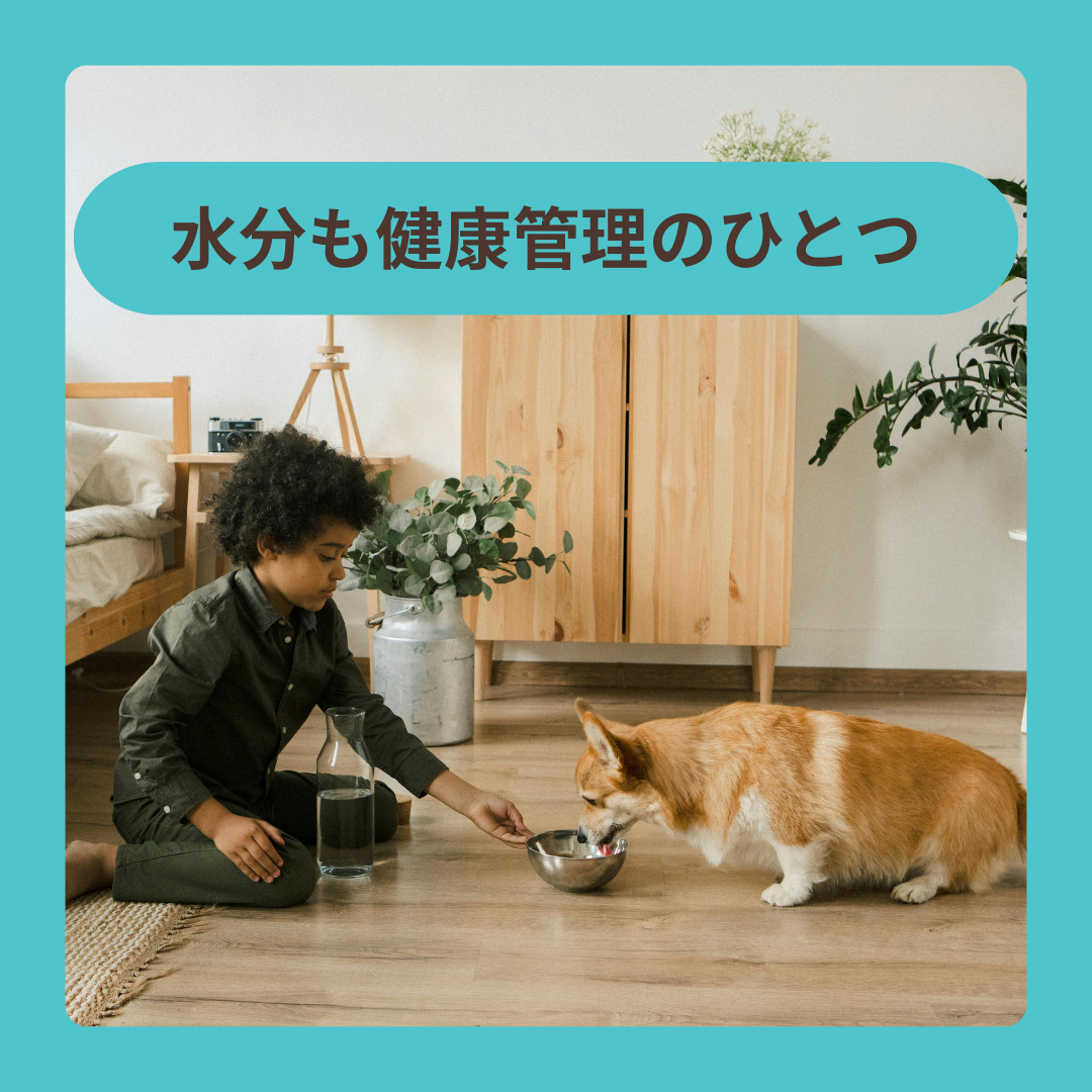 水も健康管理のひとつです
