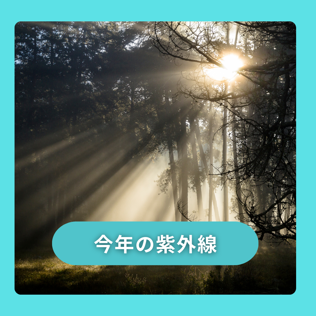 今年の紫外線…