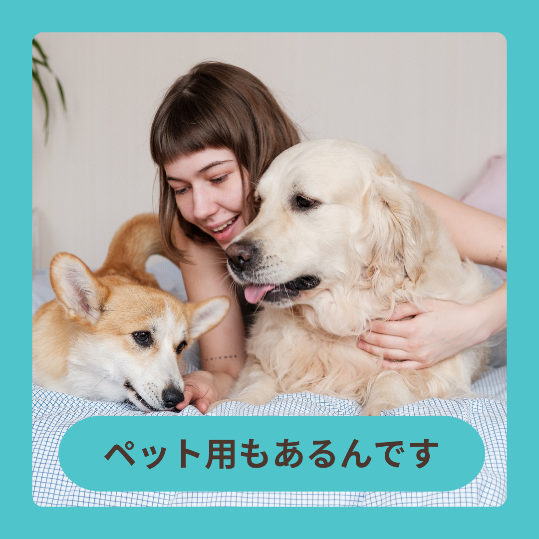 ペット用もあるんです