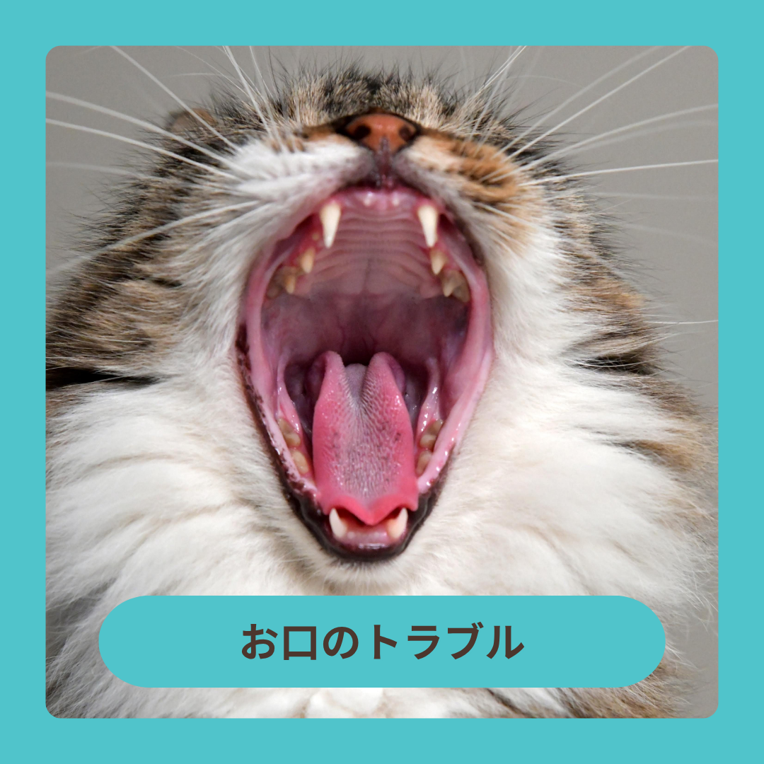 お口のトラブル