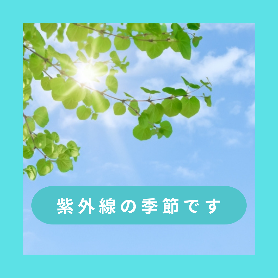 紫外線の季節になりました