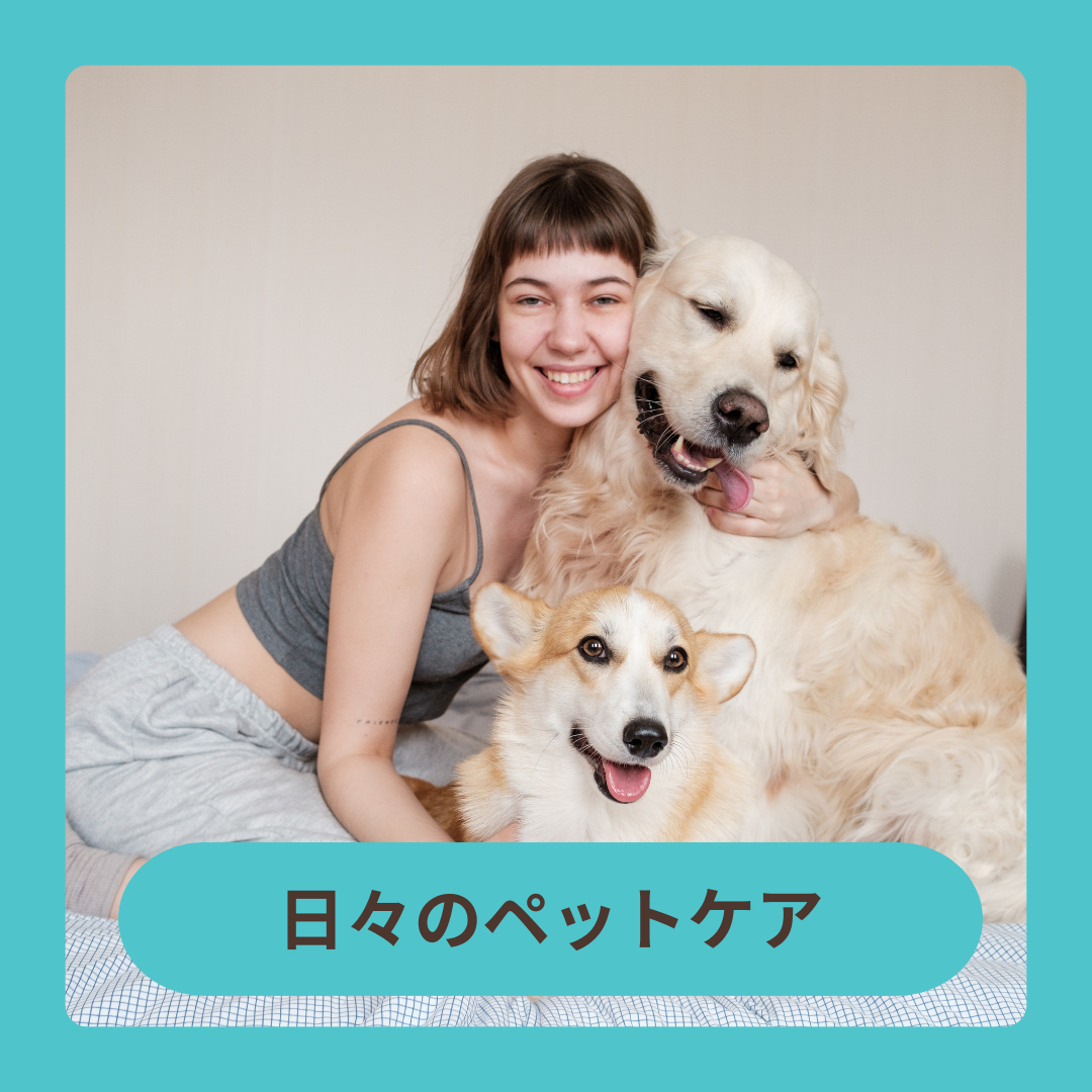 毎日のペットケア