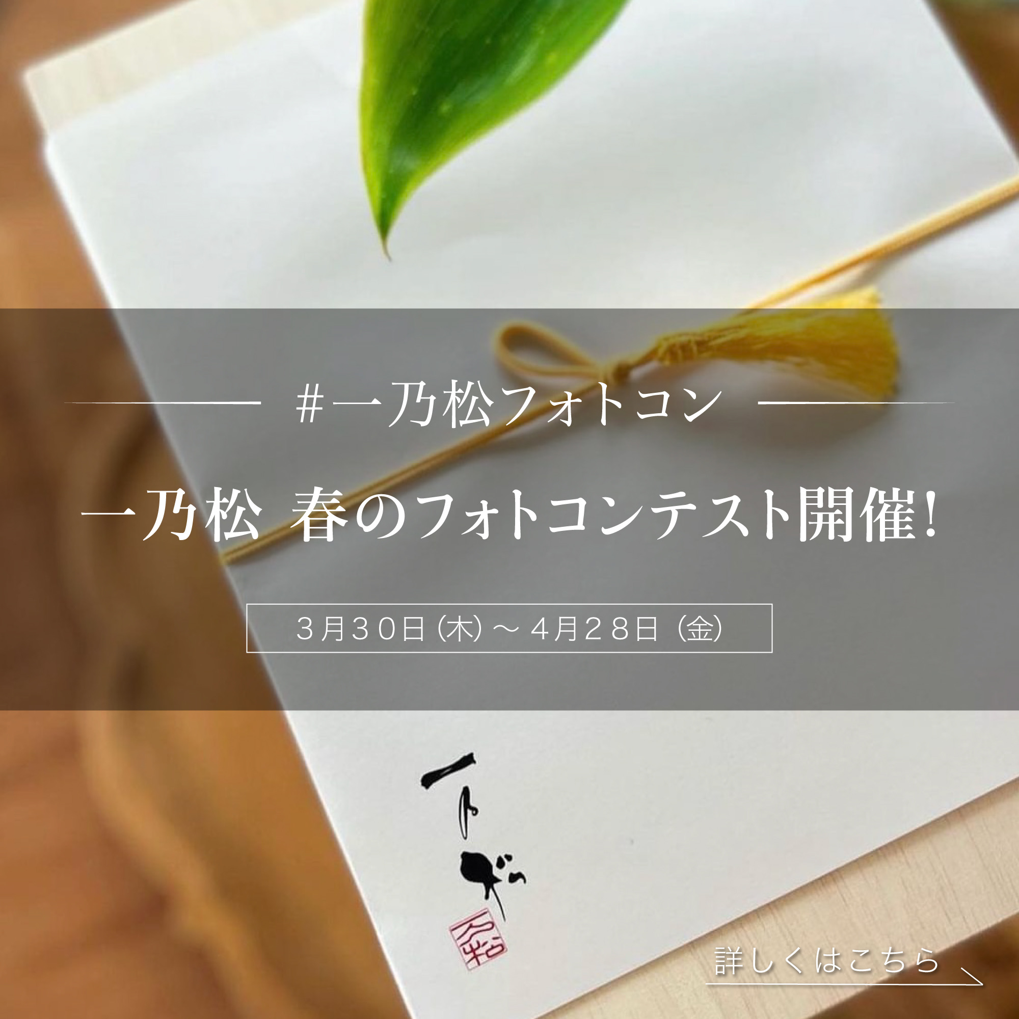 #一乃松フォトコン「一乃松 春のフォトコンテスト開催！」