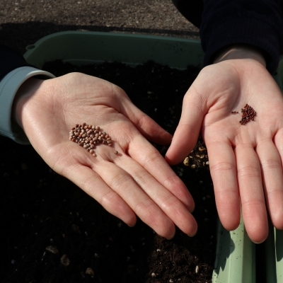 初めてのプランター栽培①(植え付け編)