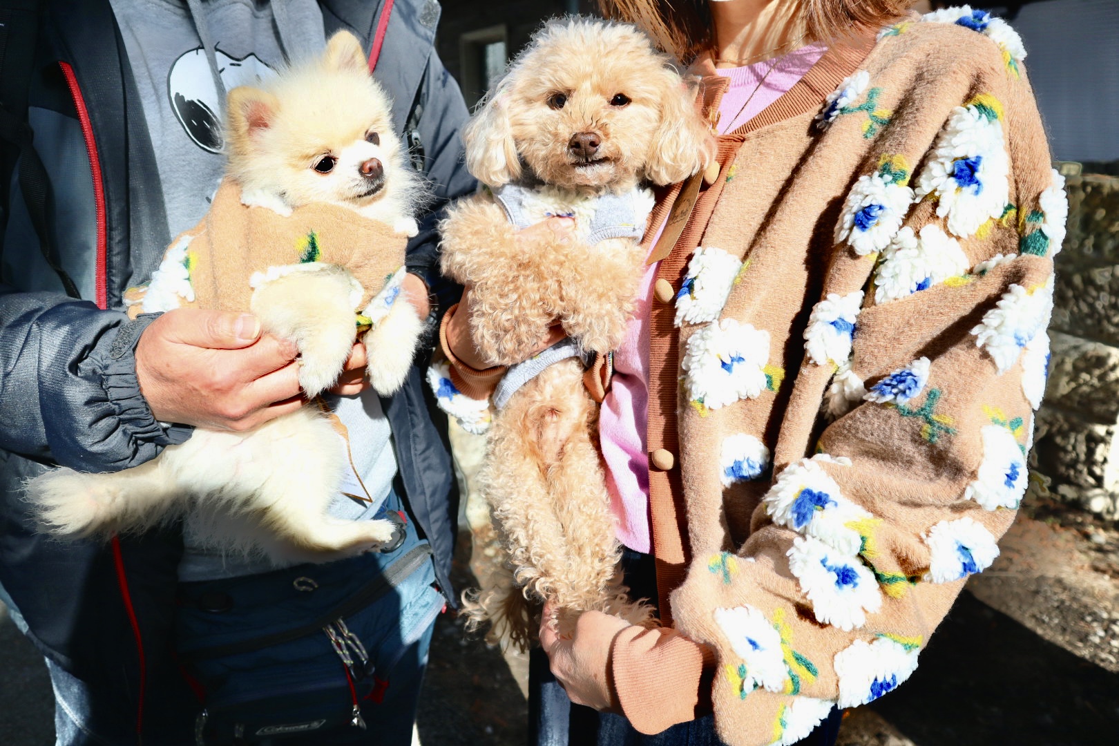 2月11日(土)12日(日) アルチザンファーマーズマーケット川口 出店しました♪