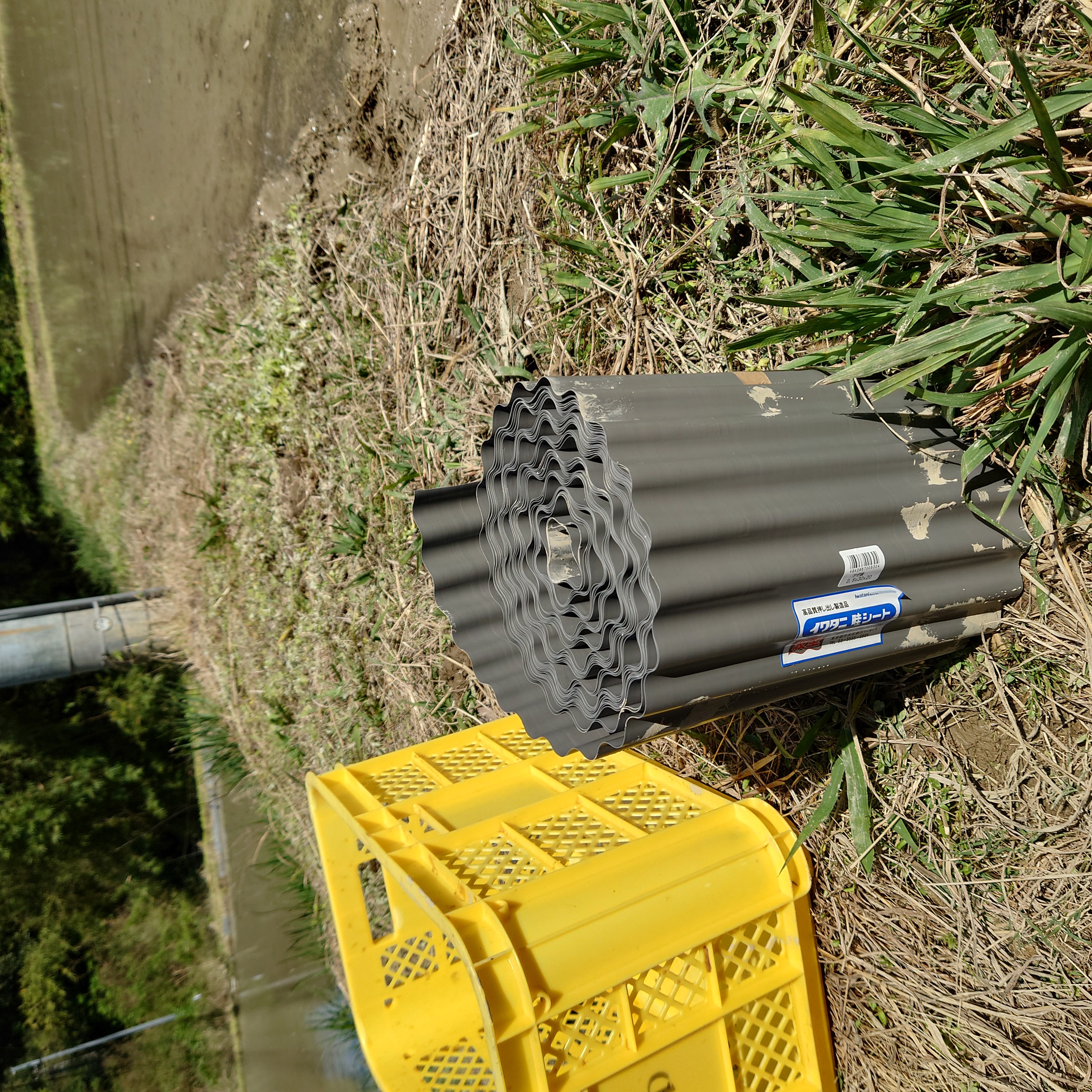 夏がやってきます・・・。