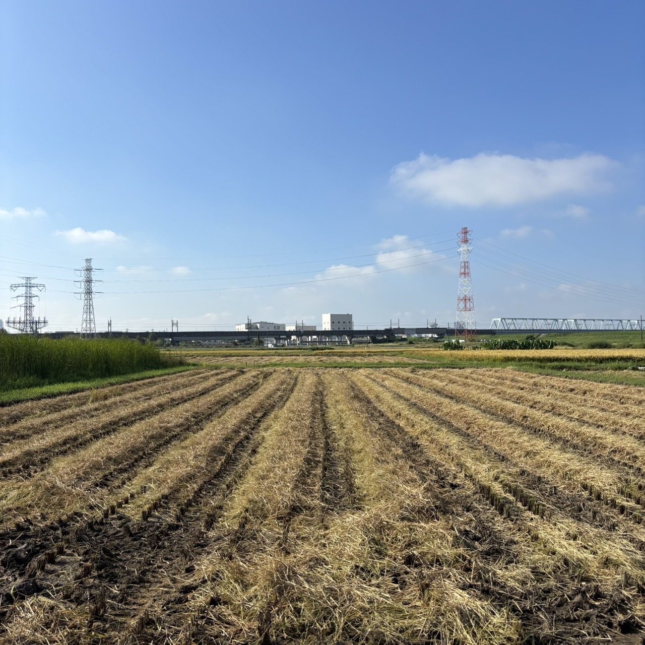 【稲刈り無事に終了 】