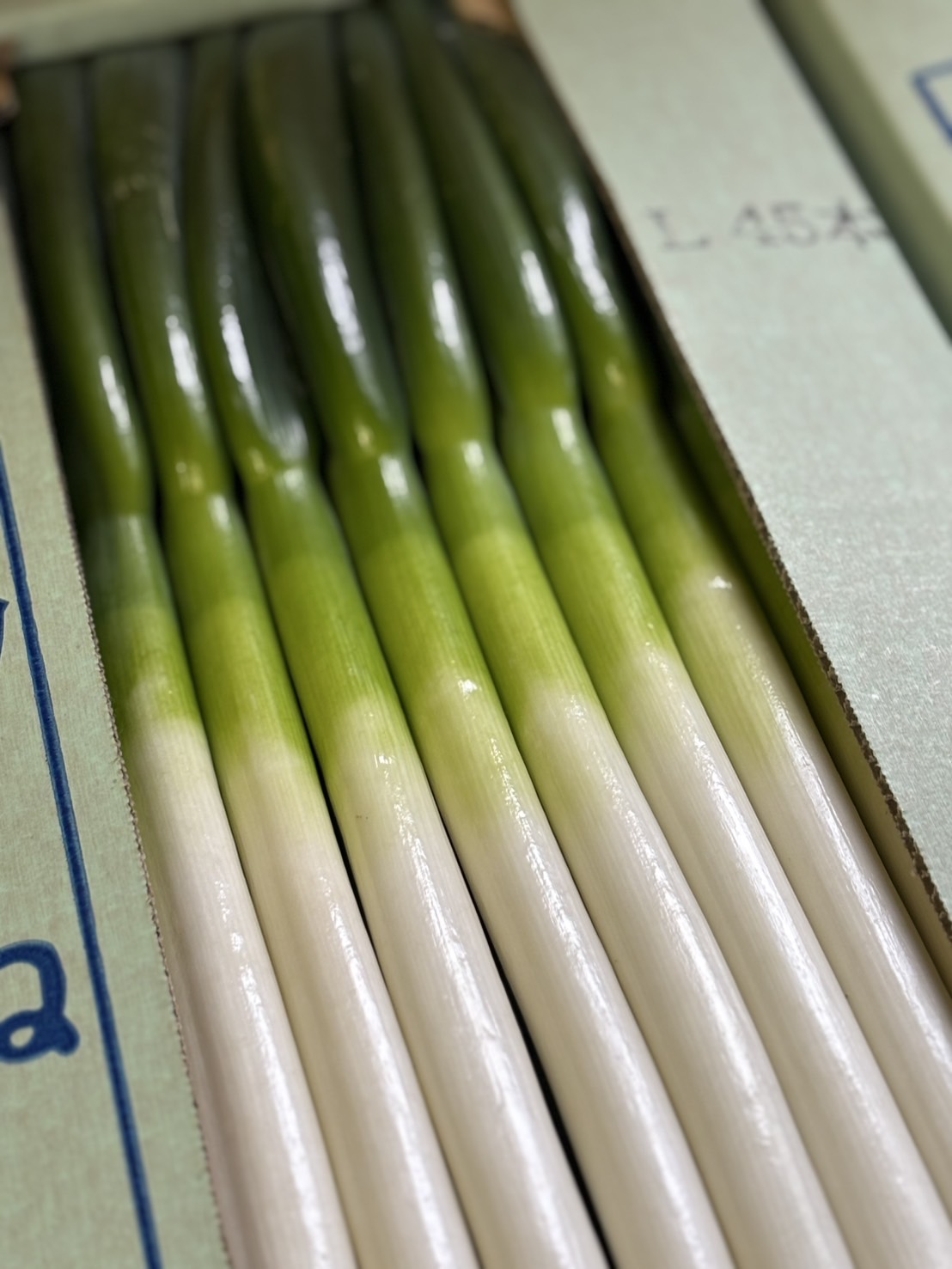 【市場出荷終了のお知らせ】