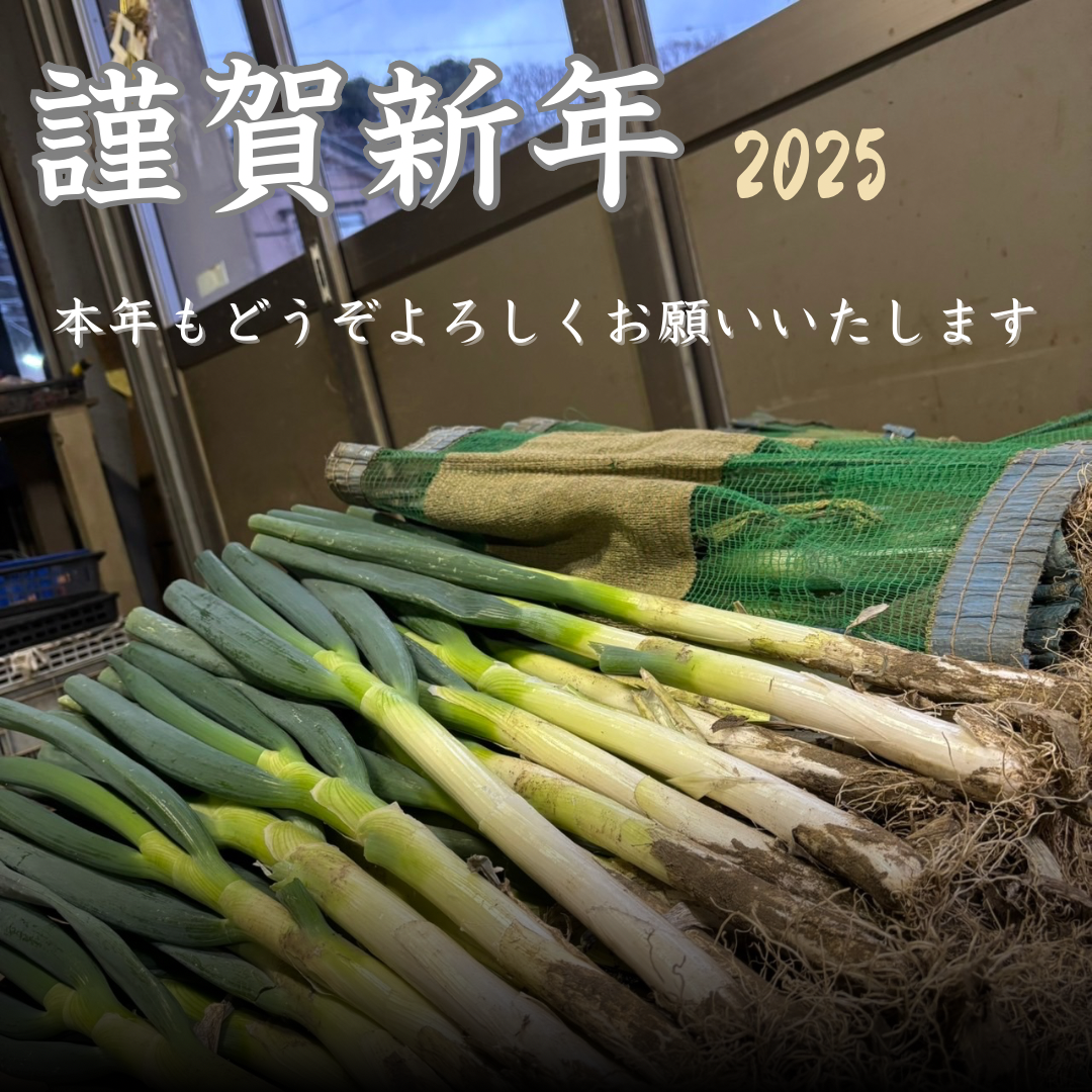 仕事始め