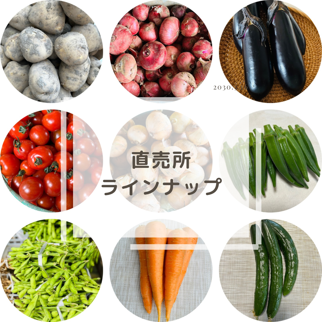 【直売所ラインナップ】