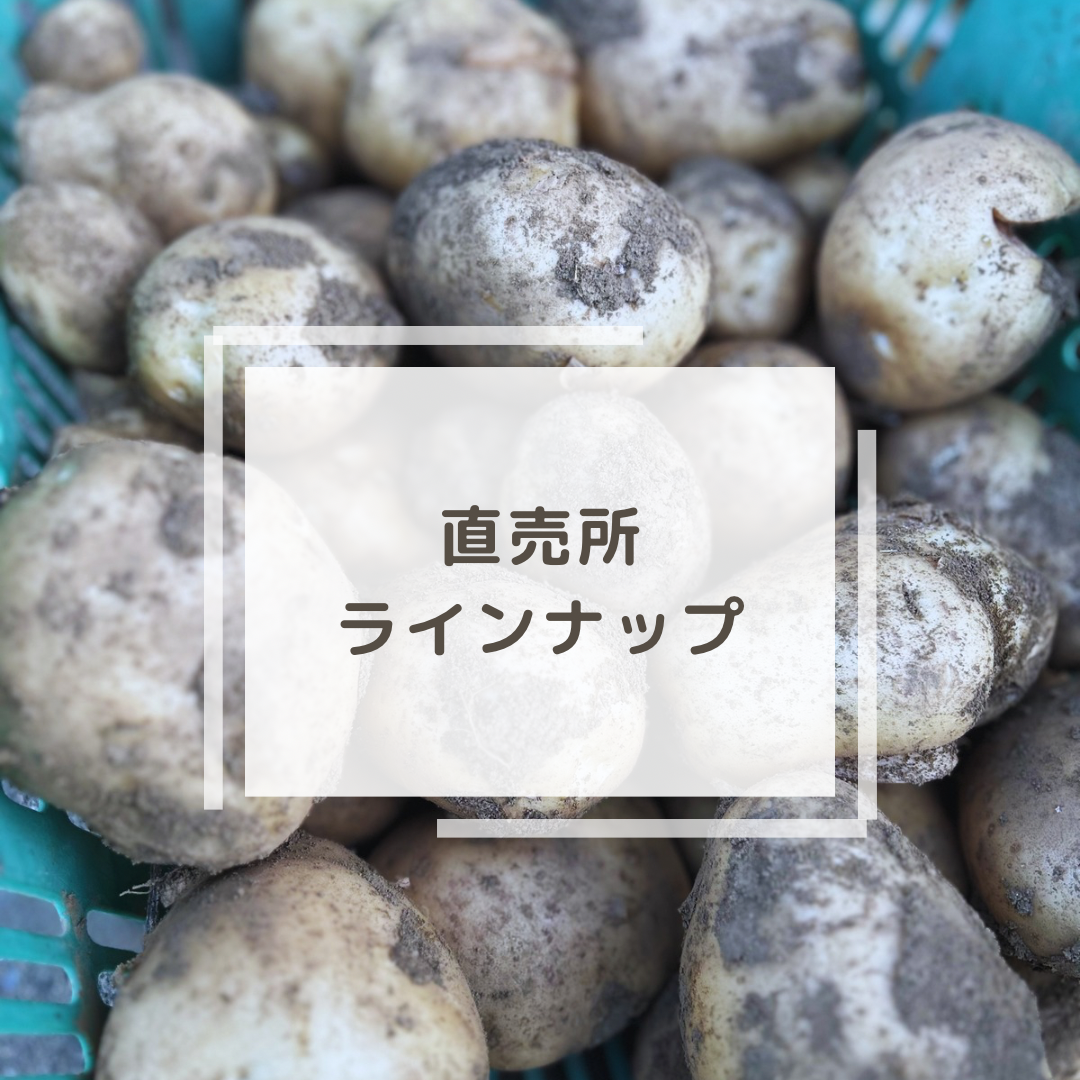 【直売所ラインナップ】