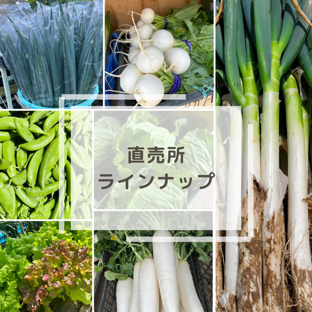 【直売所ラインナップ】
