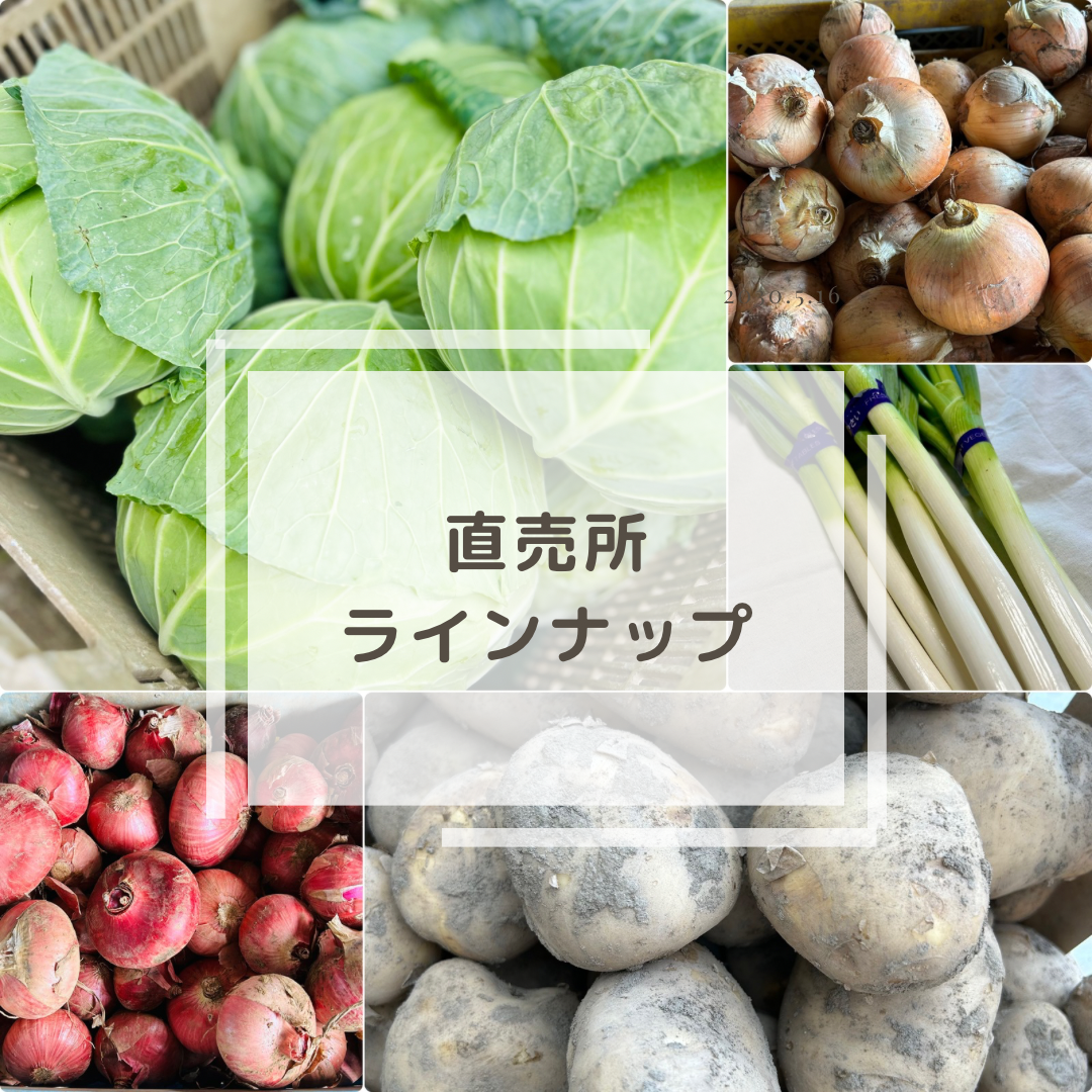 【直売所ラインナップ】