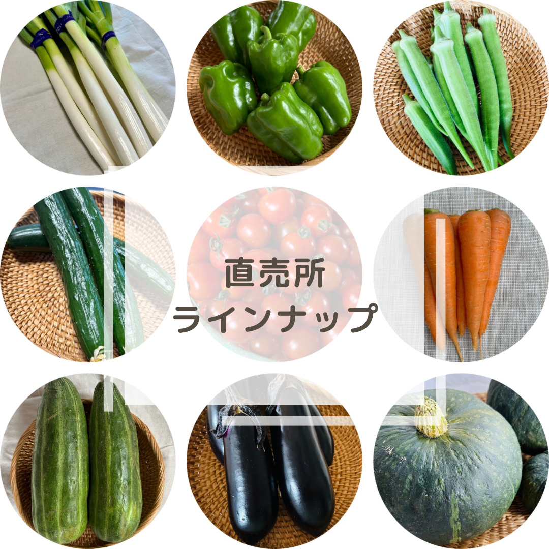 【直売所ラインナップ】