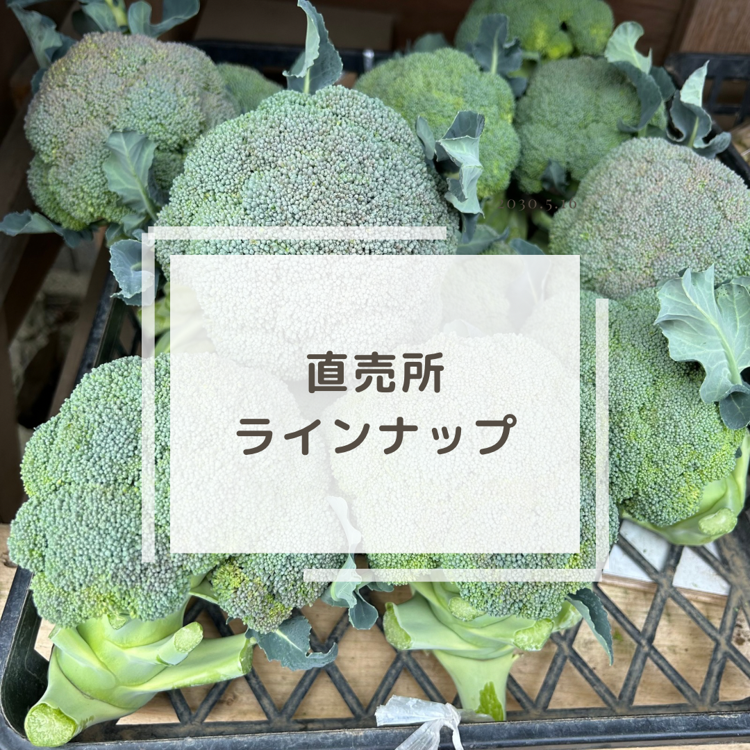 【直売所ラインナップ】