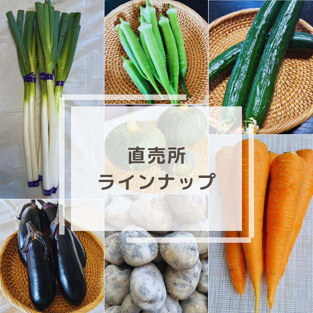 【直売所ラインナップ】