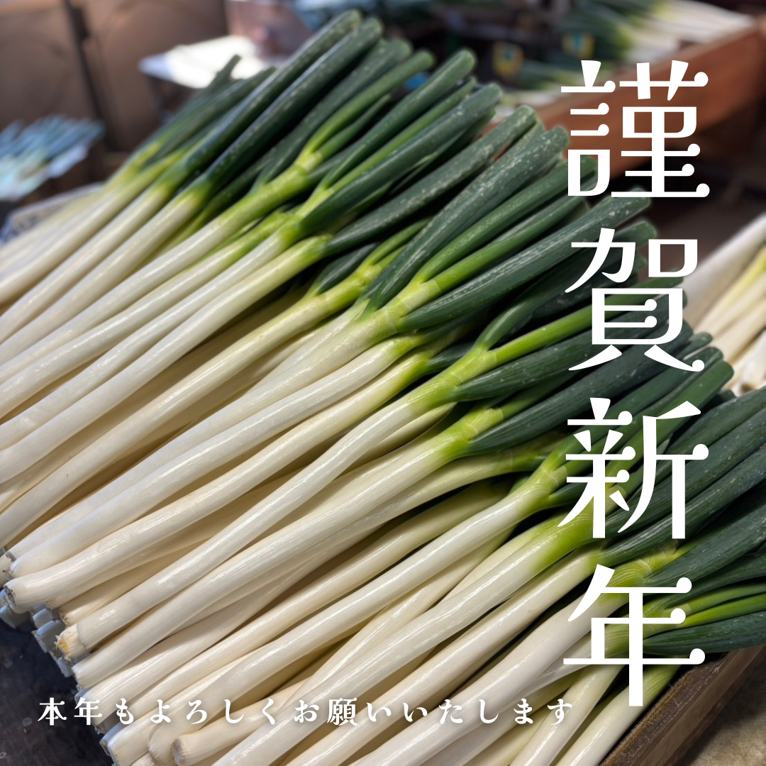 【新年のご挨拶】