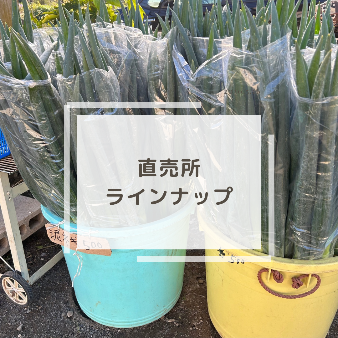 直売所情報ꉂ📢