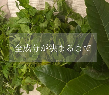 全成分が決まるまで ~開発ストーリー④~