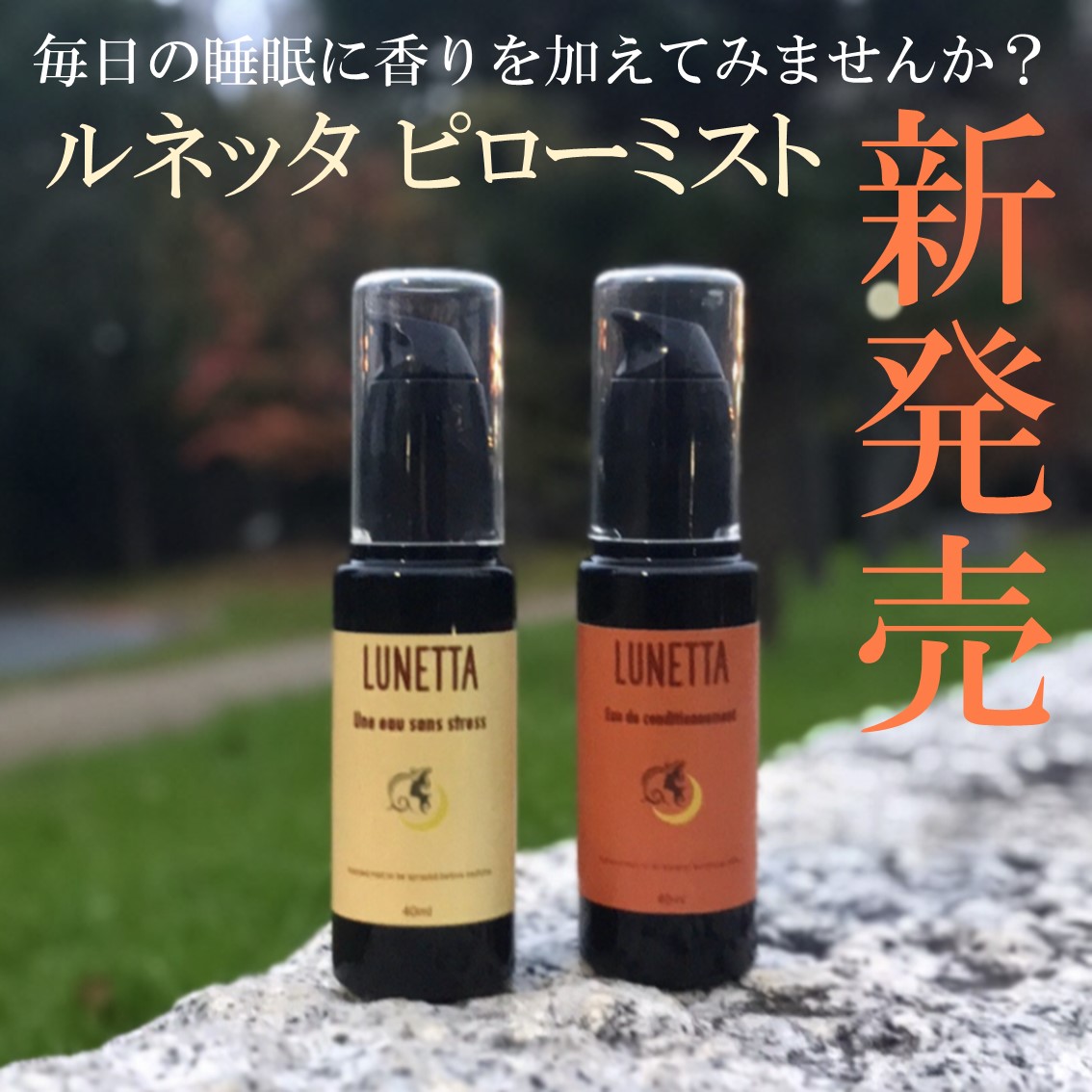 数量限定発売！