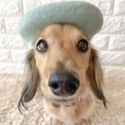 はじめまして♪