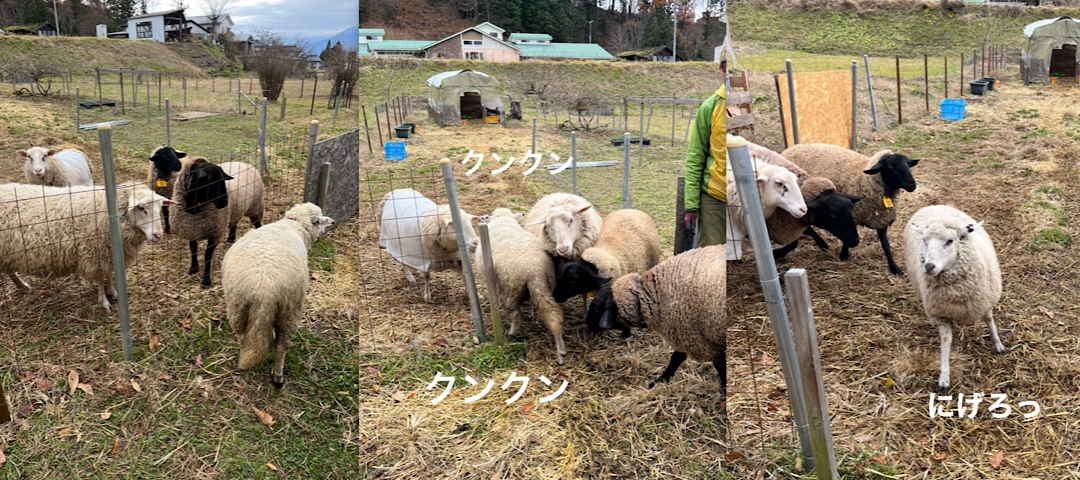 ちびちゃん合流〜