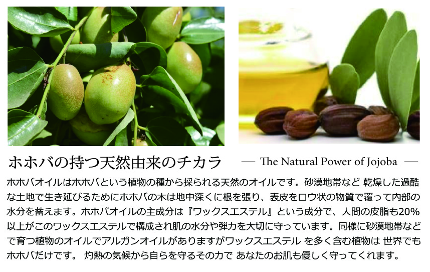 オーガニック ホホバ天然由来のチカラ