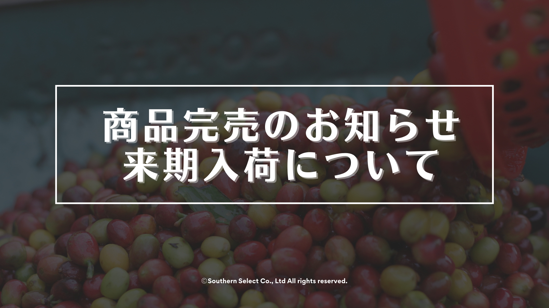 商品完売のお知らせ/来期入荷について