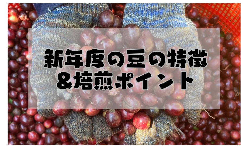 新年度の豆の特徴と焙煎ポイント