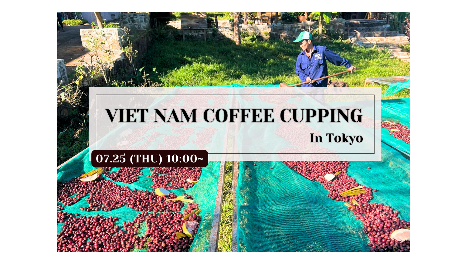 ベトナムコーヒー豆のカッピング会 開催のお知らせ