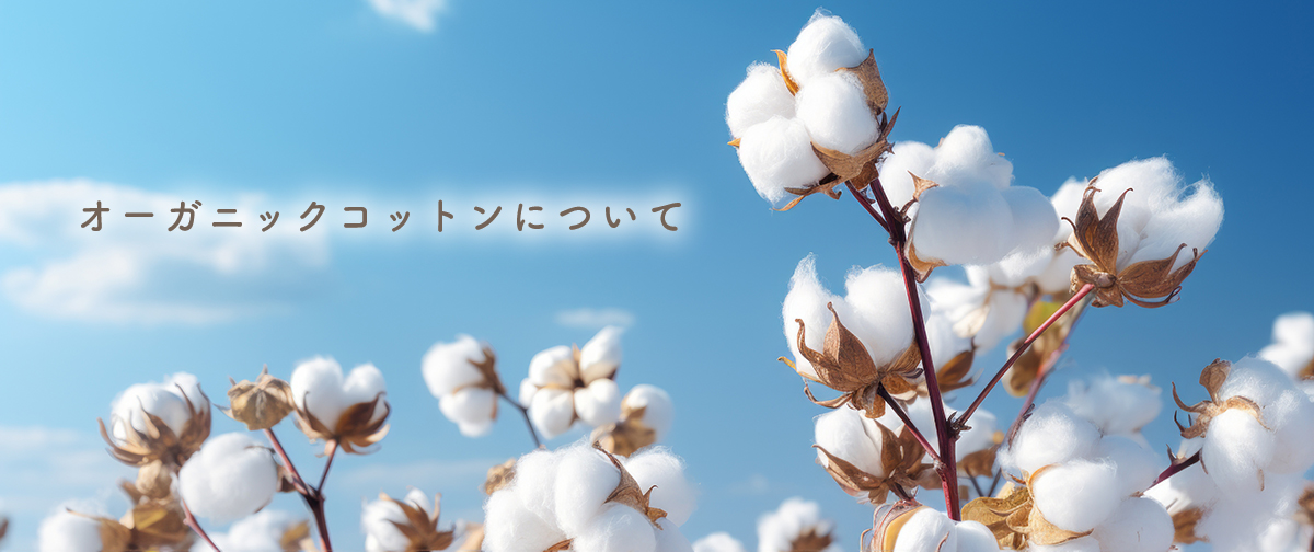 オーガニックコットンの話