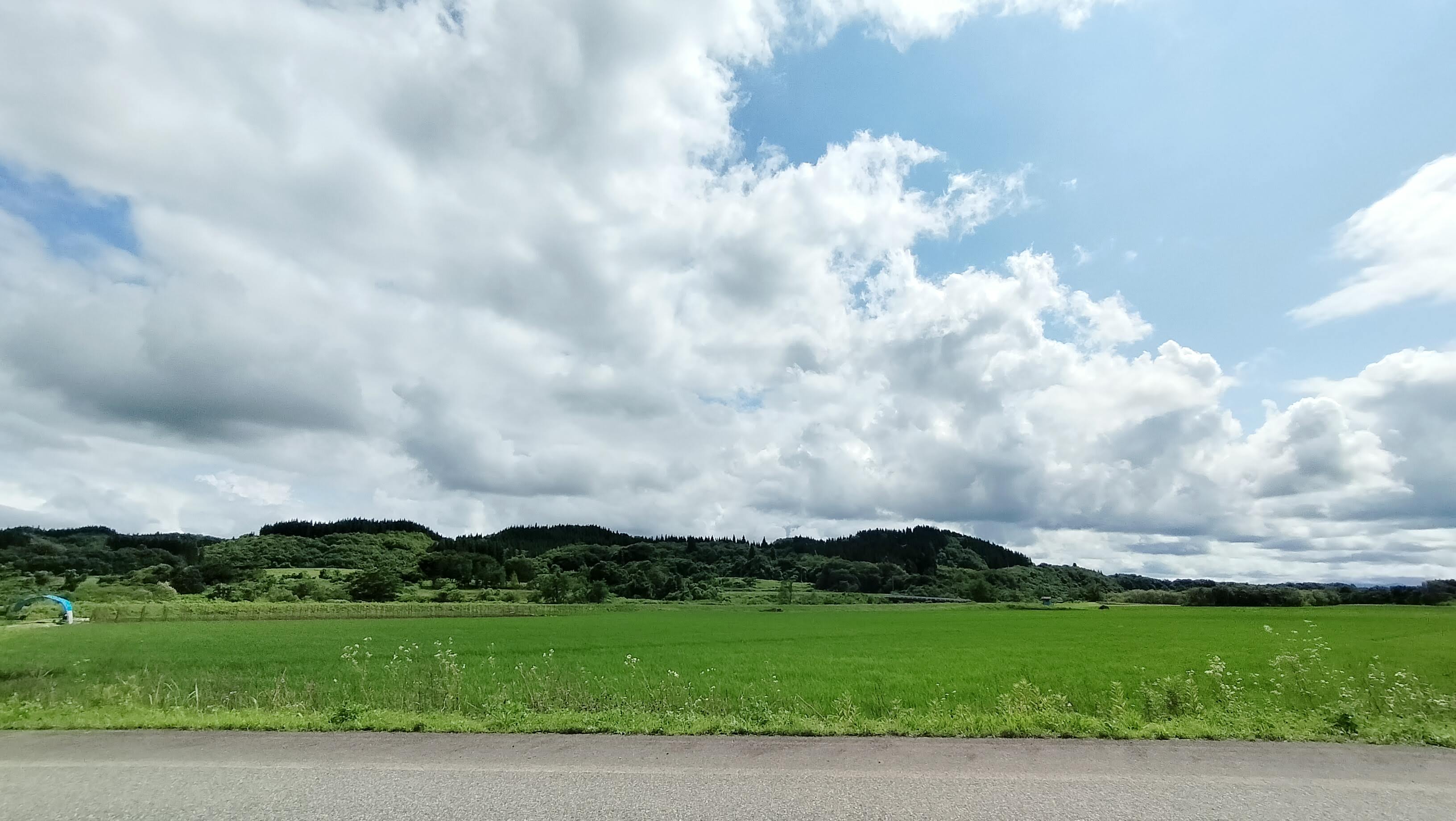 夏季休暇のお知らせ
