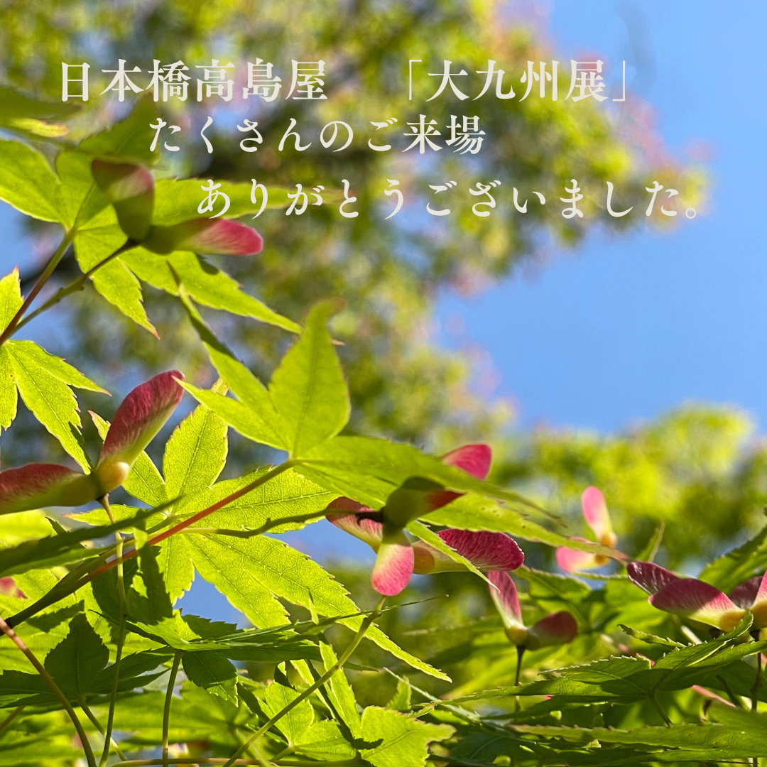 日本橋高島屋「大九州展」無事終了いたしました！