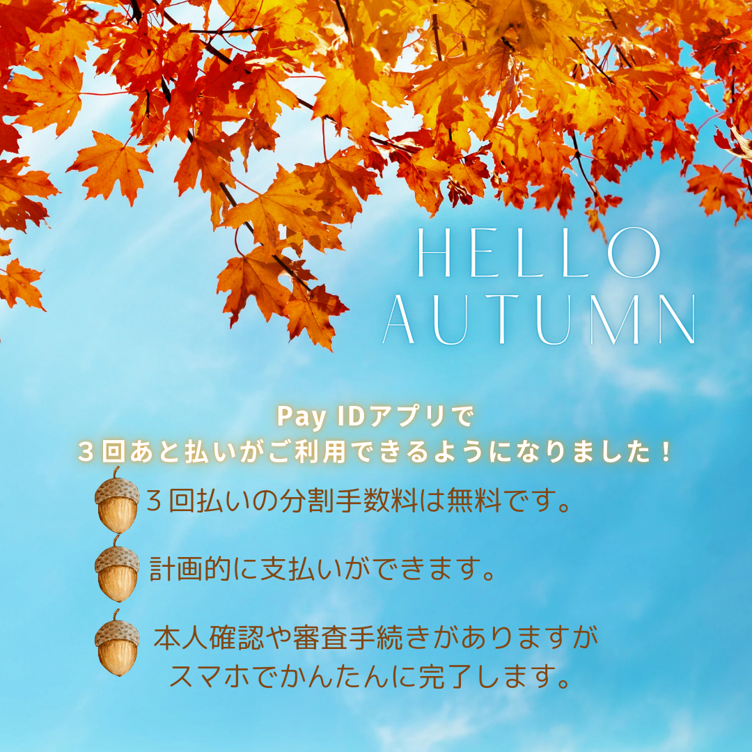 3回あと払いができます!