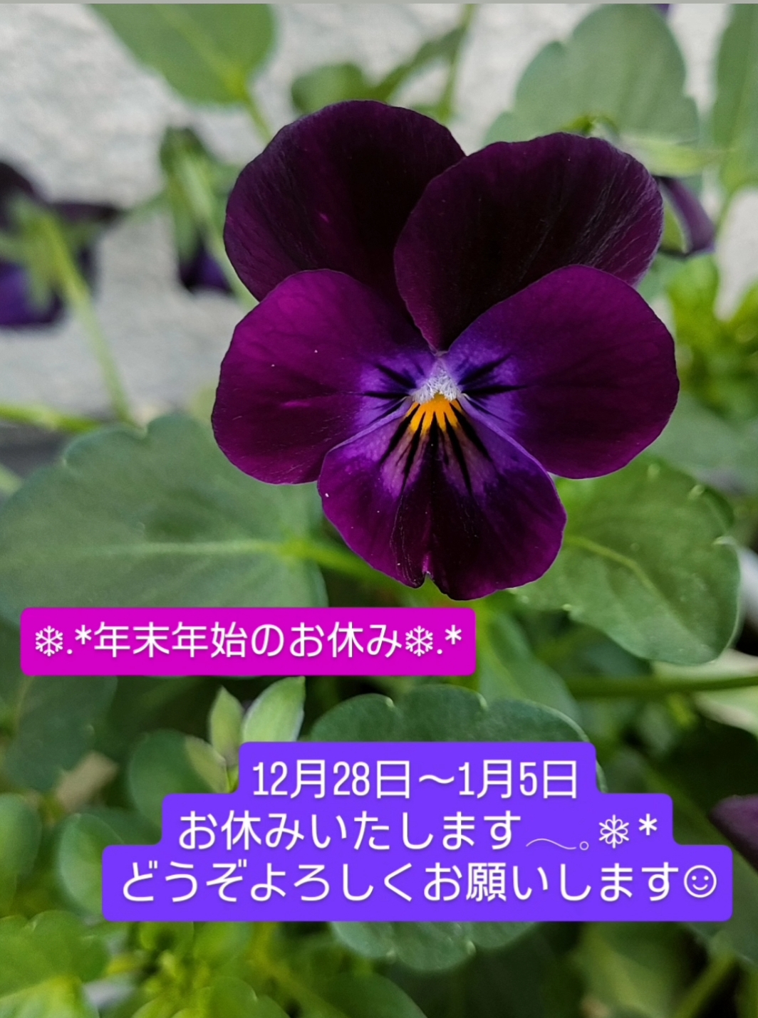 年末年始のお休み