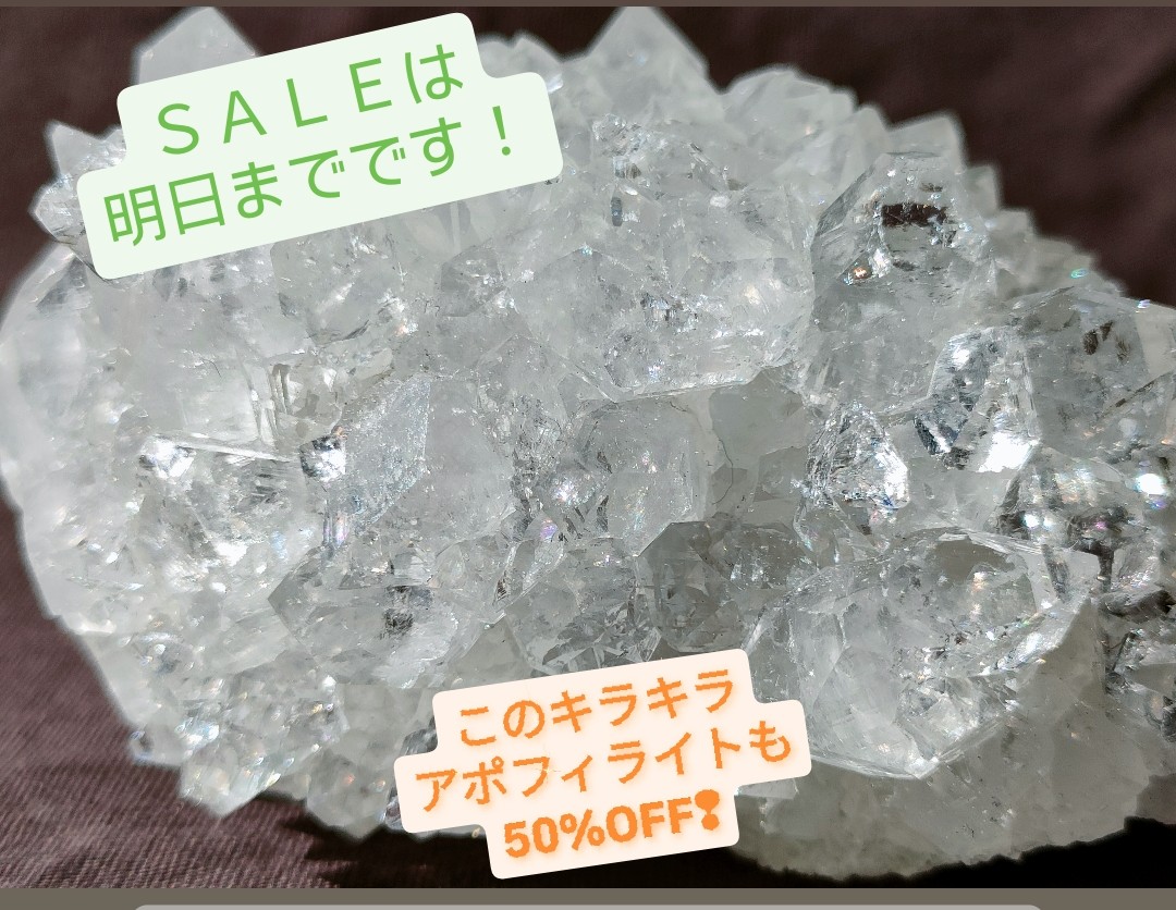 SALEは明日までです!