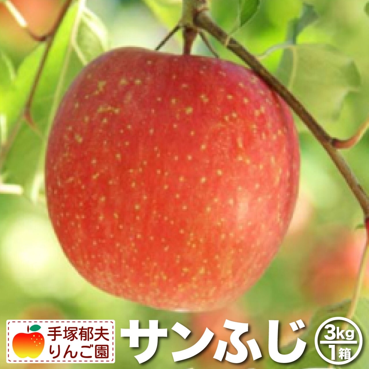 完熟りんご「サンふじ」箱詰め　ネット販売・店頭ともに販売終了