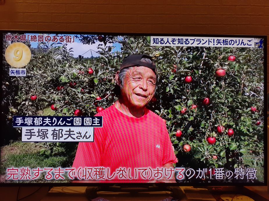 テレビ東京「出没！アド街ック天国」に手塚郁夫りんご園が出ました！