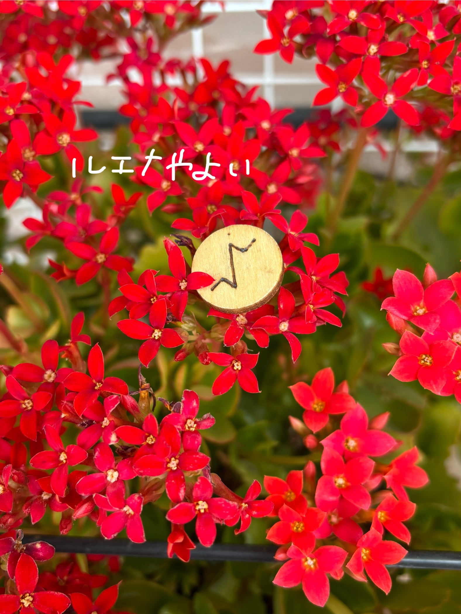 3月15日のルーン