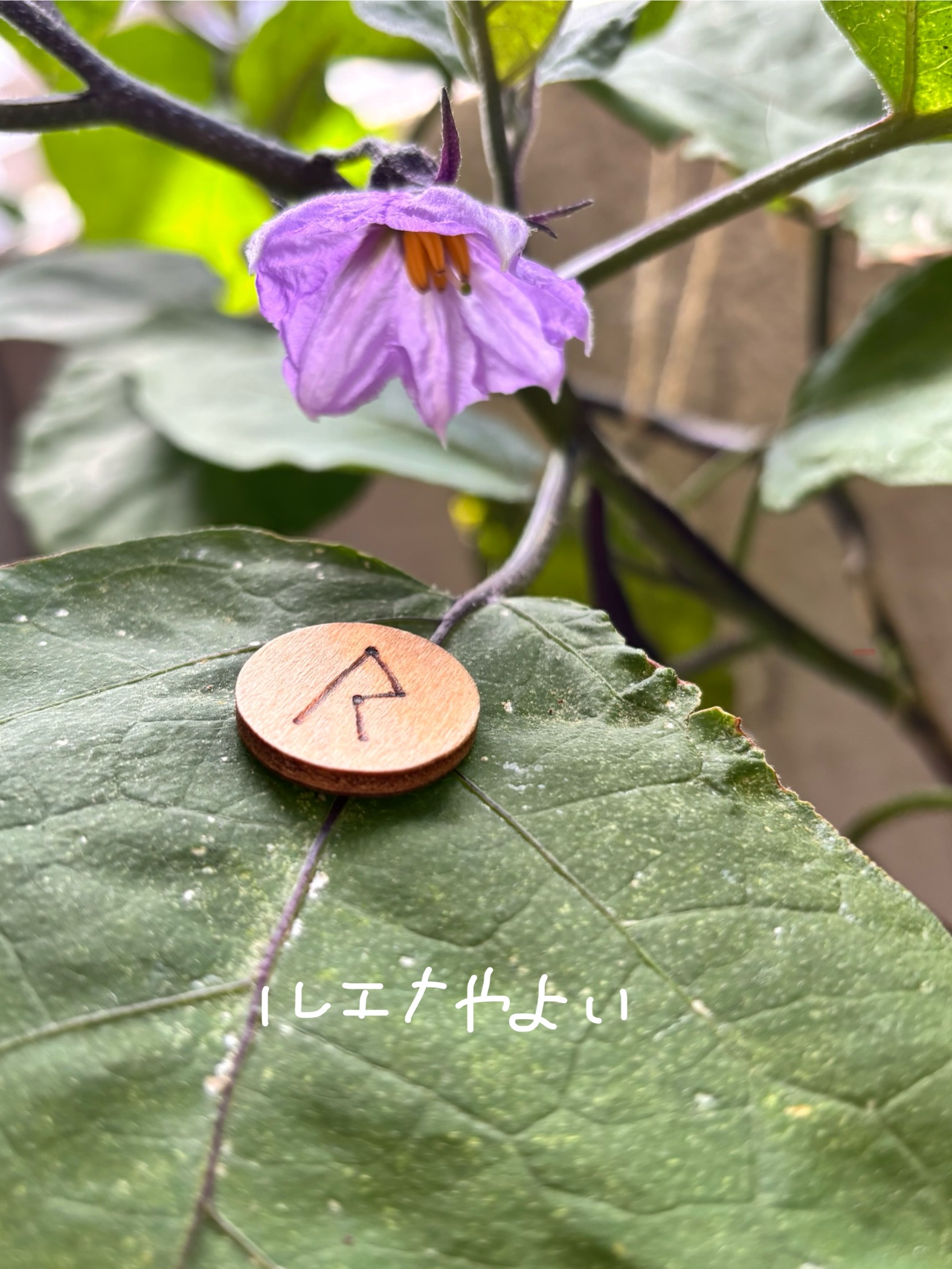 7月13日のルーン