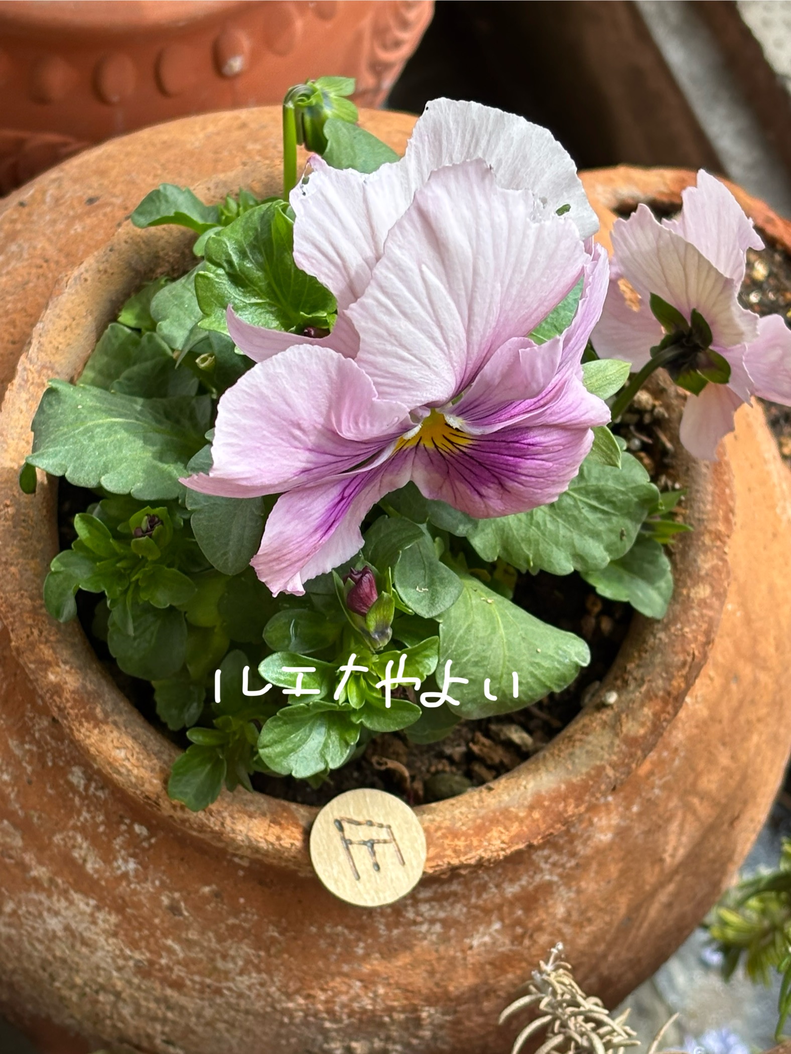 3月20日のルーン