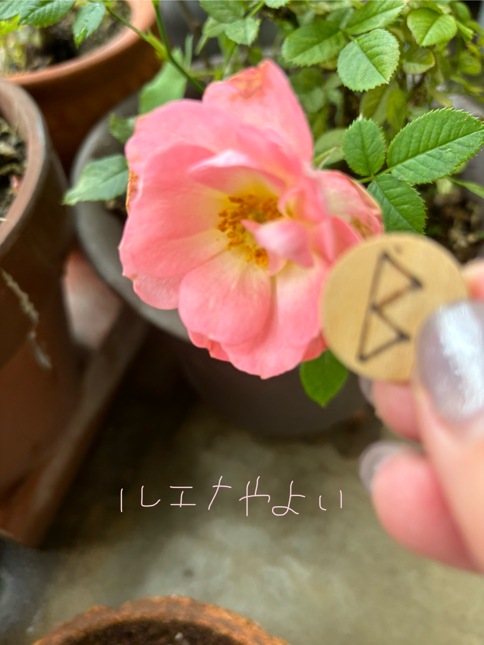 6月10日のルーン