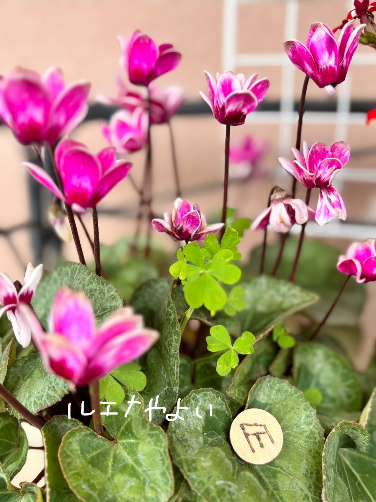 4月23日のルーン