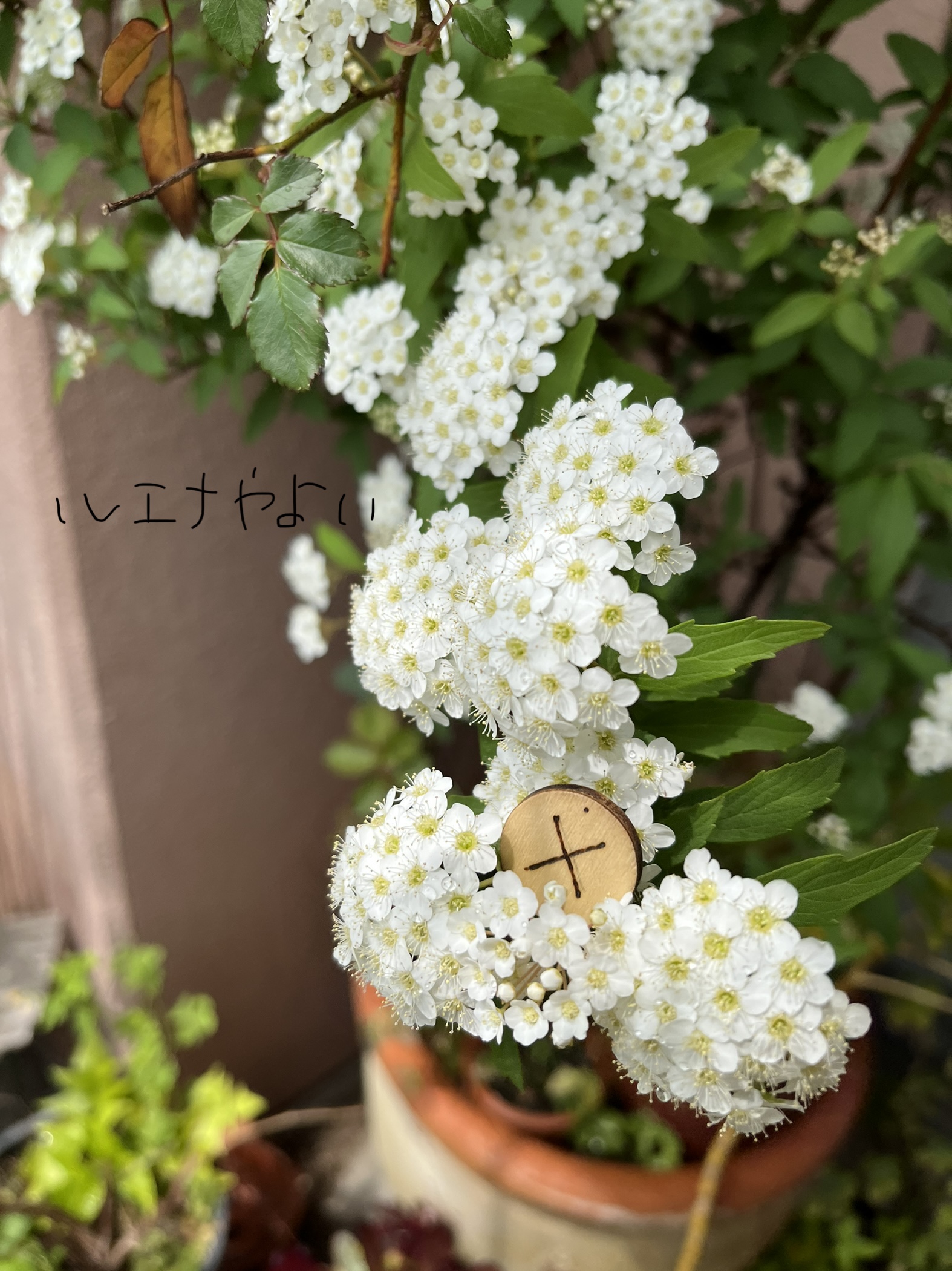 4月22日のルーン