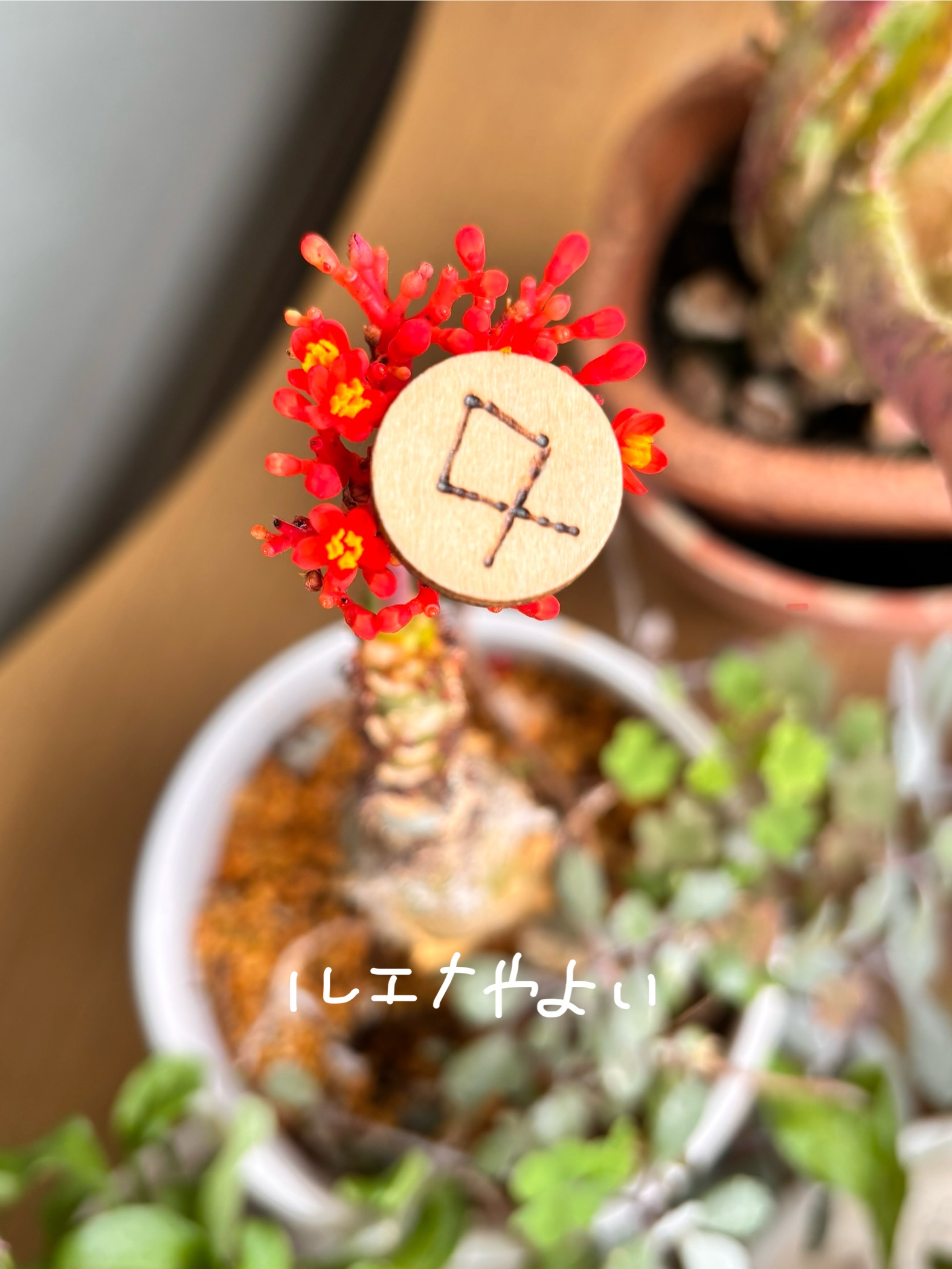 5月23日のルーン